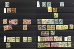 4555: New Caledonia - Collections