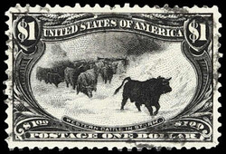 6605: USA