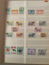 4485: Mongolei - Sammlungen