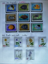 TEMATICA FLORA e FAUNA - Due album con serie complete di vari paesi, ...