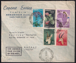 Bella affrancatura mista con Fiori c.5 + c.60 + Aerea Animali c.35 + ...