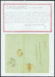 Catanzaro, cerchio al verso (p.10) perfetto su sopracoperta di ...