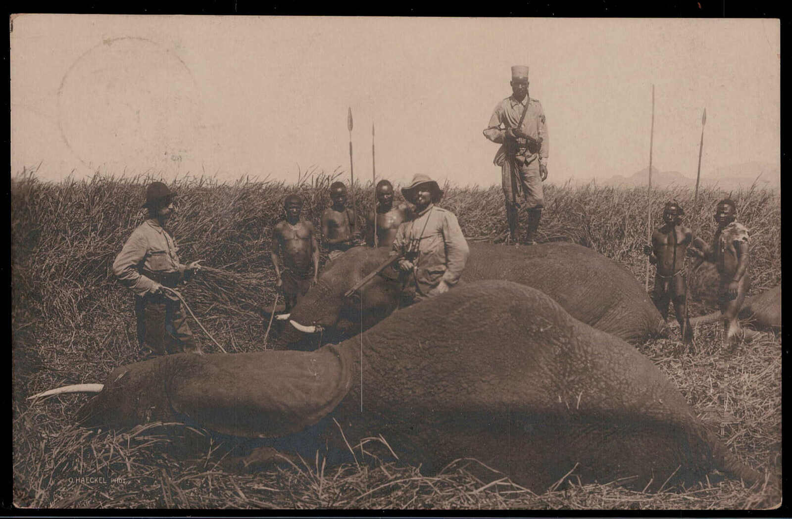 Elefanten-Jagd, 2 1/2 H. Schiffe-Privatganzsache mit K1 "MUANZA" ...
