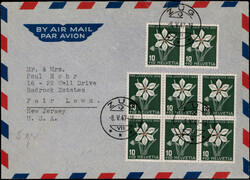 5415: Nature, Flowers