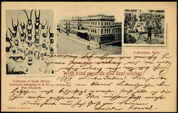 3855: Cape of Good Hope - Private postal stationery