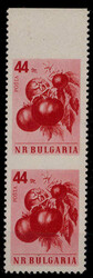 2010: Bulgaria