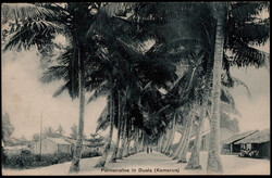 Picture 2 for Lot from Briefmarken Fischer Shop