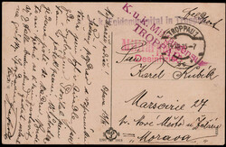 "K.u.K. EPIDEMIESPITAL IN TROPPAU",  violetter L1 nebst rotem L2  ...