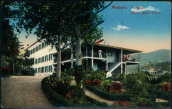 4225: Madeira - Postkarten