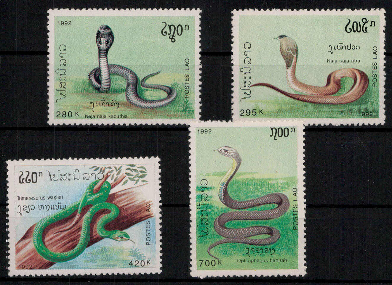 Giftschlangen 1992 kpl. **