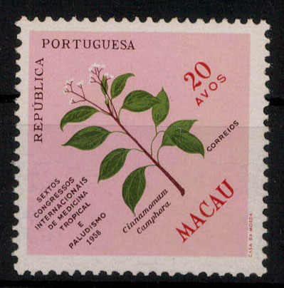 20 A. Kongress für Tropenmedizin 1958 **