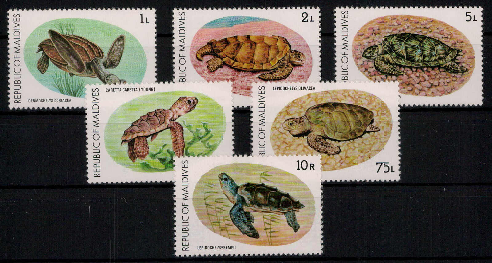 Meeresschildkröten 1980 kpl. **