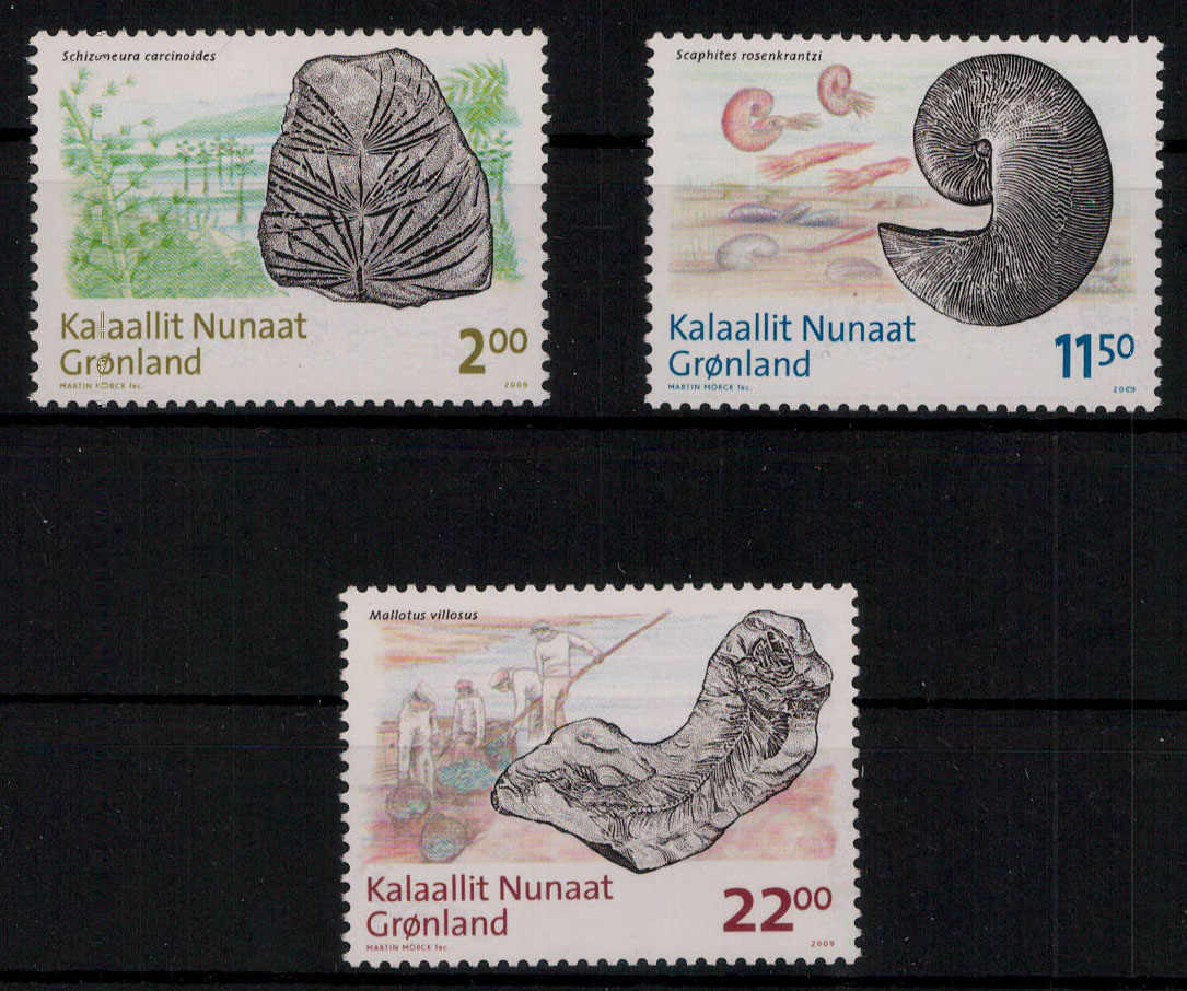 Grönländische Fossilienfunde 2009 kpl. **