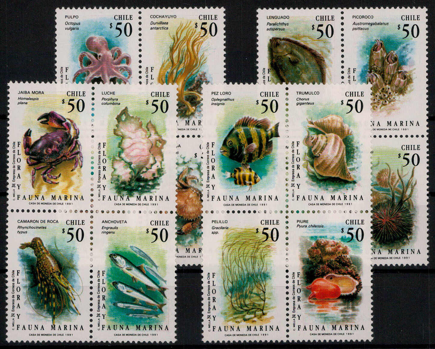 Meeresfauna und - flora 1991 kpl. **  (16,-)