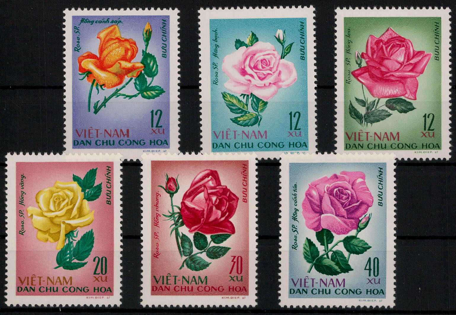 Rosen 1968 kpl. **  (12,-)