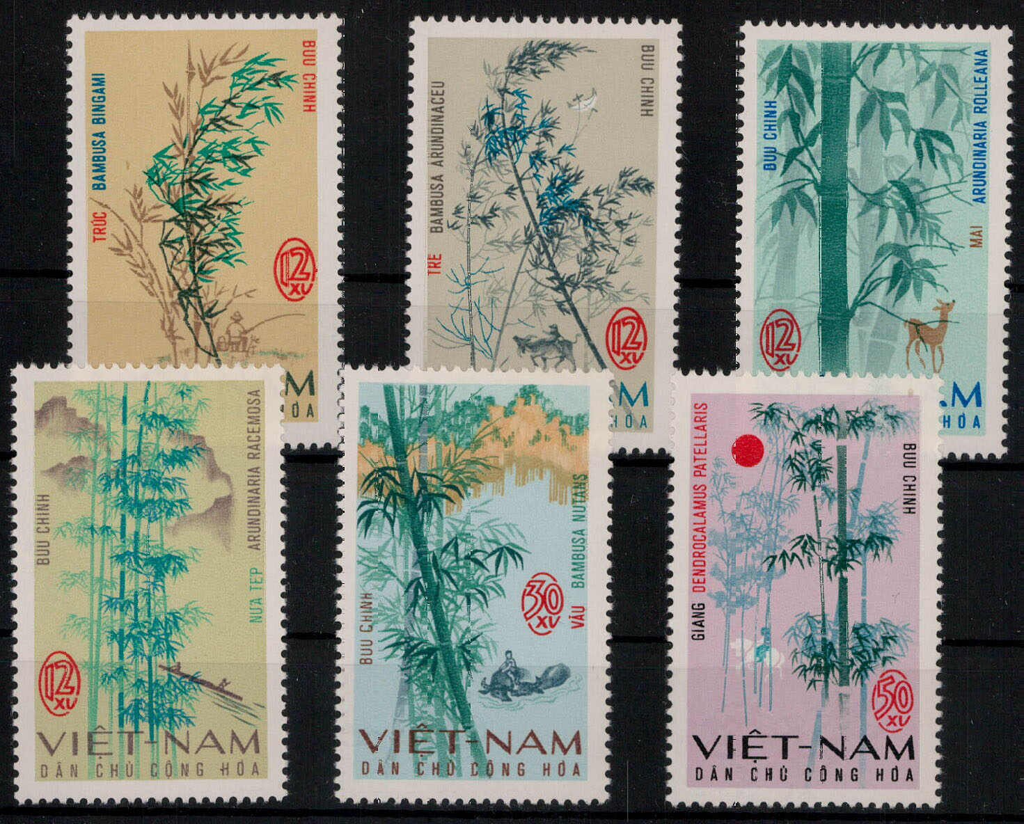 Bambusarten 1967 kpl. **