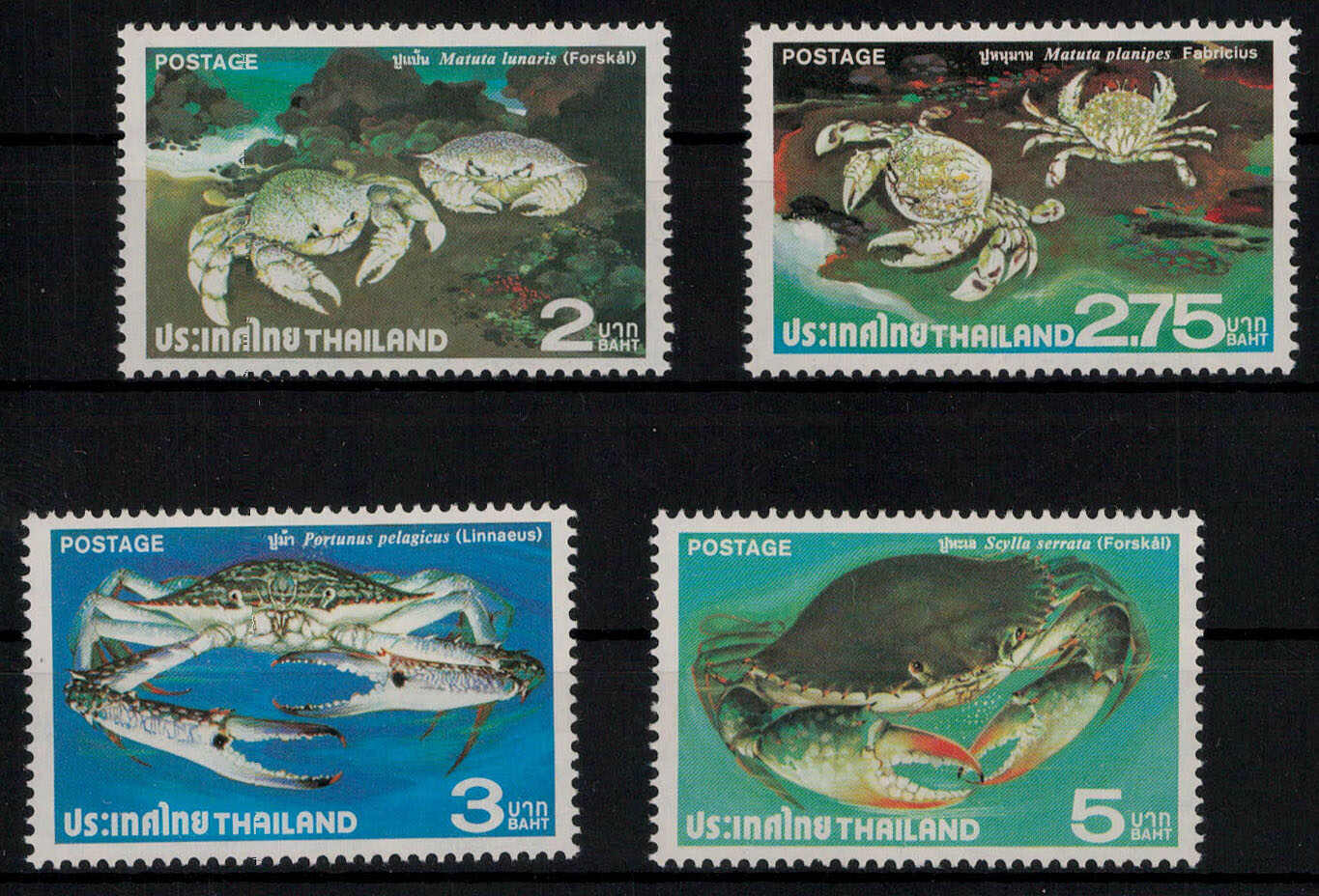 Krebstiere, Krabben 1979 kpl. **  (18,-)