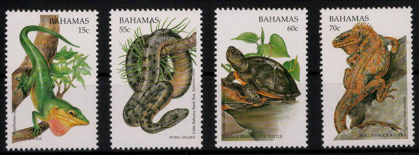 Einheimische Reptilien 1996 kpl. **