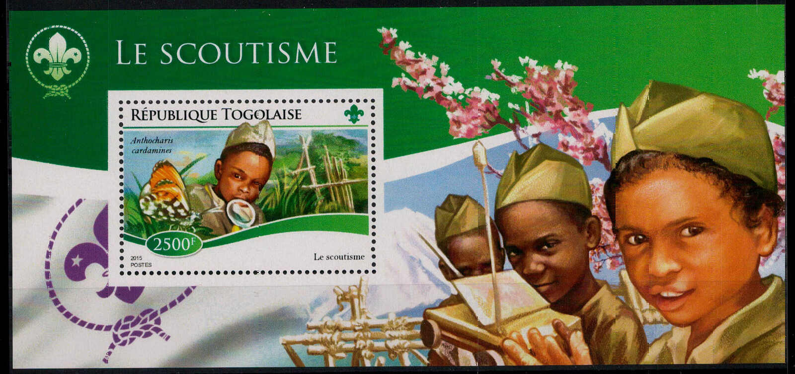 2500 F.  Pfadfinder 2015 **