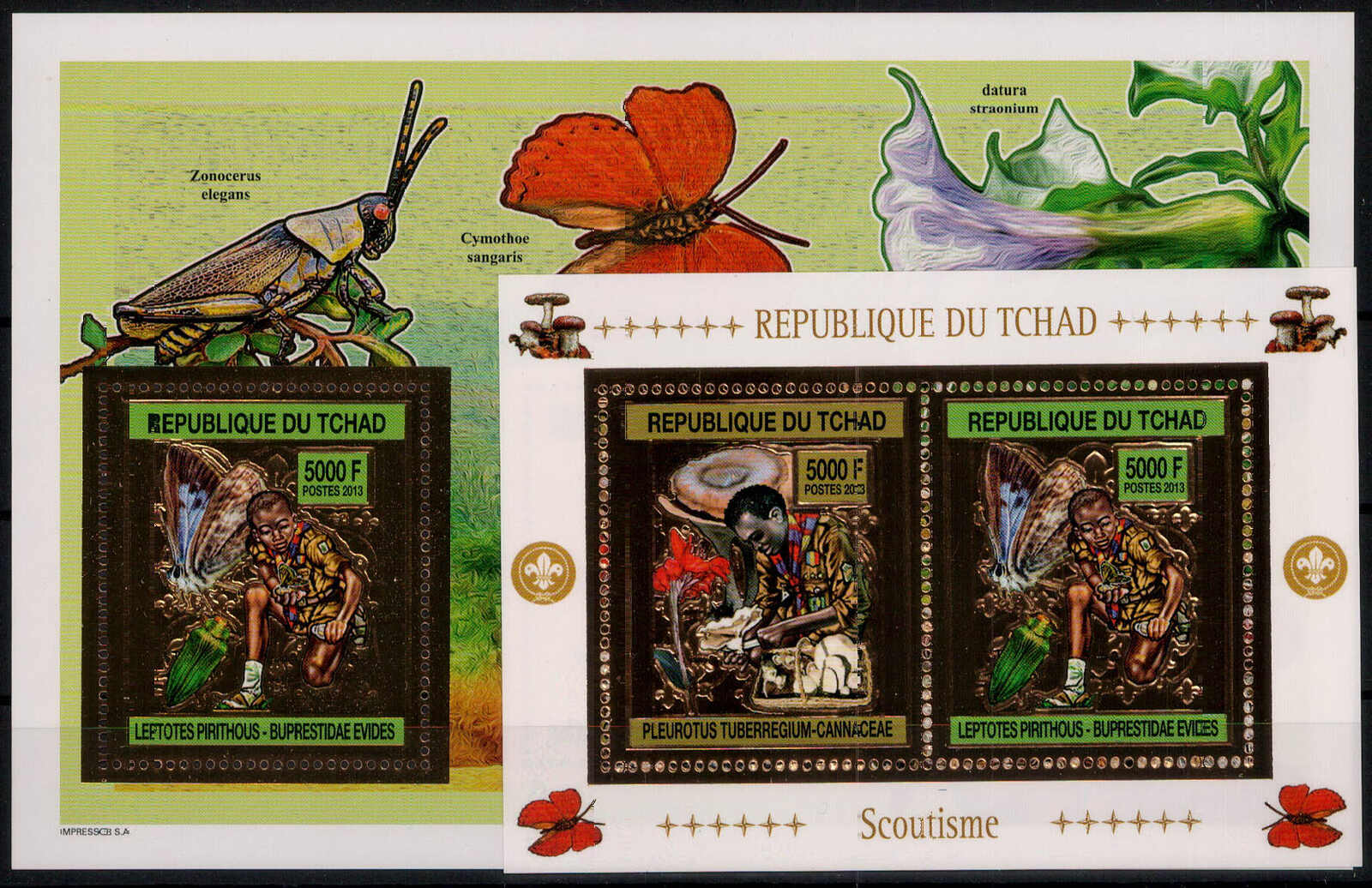 Pfadfinder 2013 in ** Kleinbögen  (90,-)