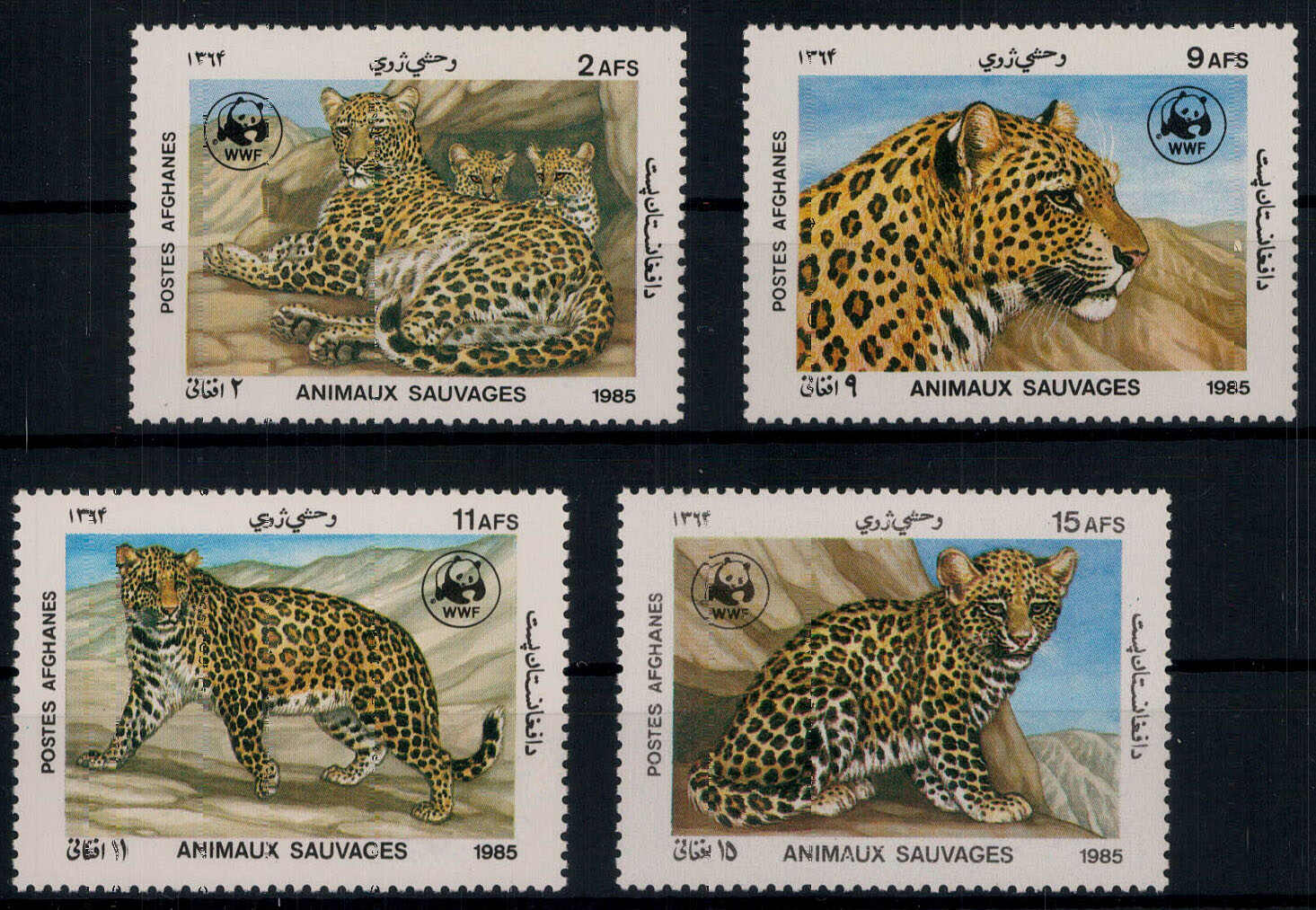Leopard 1985 kpl. **