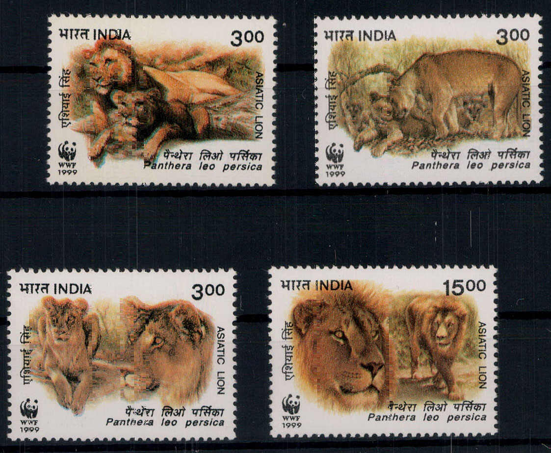 Indischer Löwe 1999 kpl. **