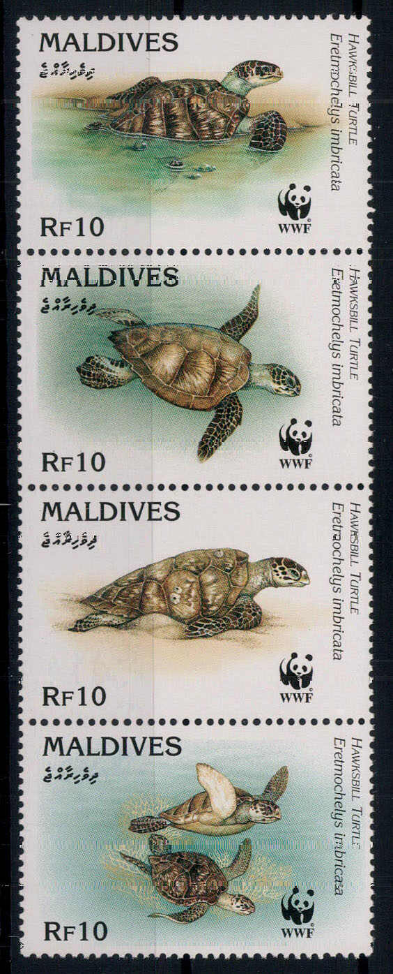 Karettschildkröte 1995 kpl. **