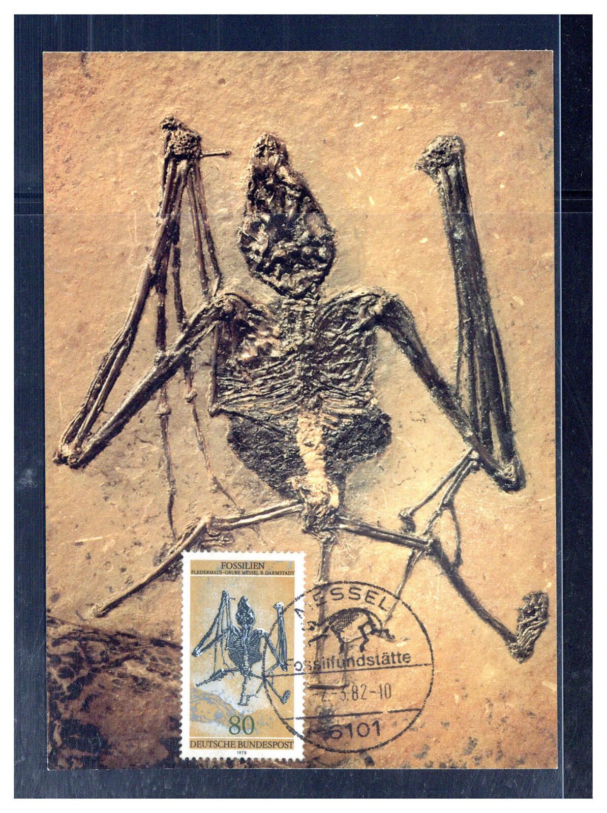 80 Pf. Fossilien 1978 auf Maxikarte 1982