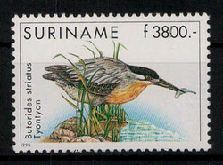 6130: Surinam