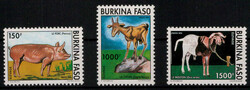 2020: Burkina Faso