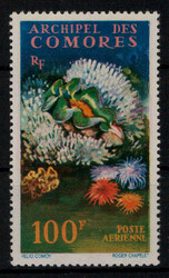 100 Fr. Riesenmuschel 1962 kpl. **  (10,-)