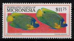 4445: Micronesia