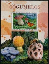 350 MT. Pilze 2016 **  (20,-)