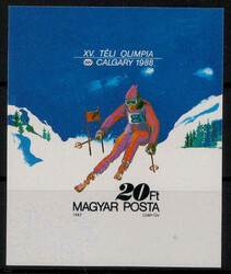 787005: Sport & Games, Wintersport, Skiing