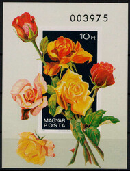 10 Ft. Rosen 1982 ** ungezähnt  (45,-)