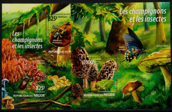 Pilze 2015 kpl. **  (25,-)