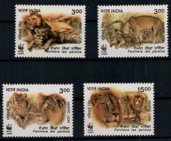 3005: Inde