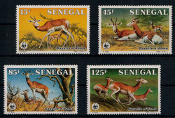 Domagazelle 1988 kpl. **