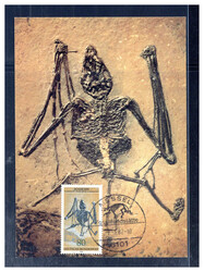 80 Pf. Fossilien 1978 auf Maxikarte 1982