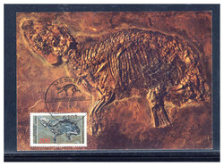 200 Pf. Fossilien 1978 auf Maxikarte 1982