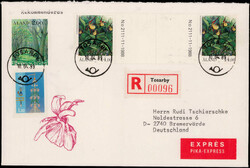 14 M. Orchideen im waagrechten Zwischenstegpaar nebst zwei weiteren ...