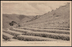 2.50 auf 1.25 B. Bergmann Bild-GA  "LA PAZ" *