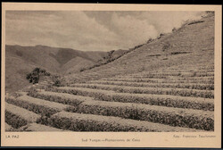 30 auf 15 C. Potosi Bild-GA  "LA PAZ" *