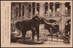 2865: Grossbritannien - Postkarten