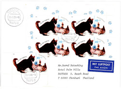 45+20 Pf. Katzen 2004 (5) als MEF. auf Lupo.-Auslandsbrief  ...