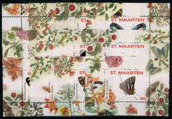 841520: 動物・虫類・蝶