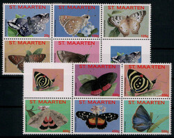 841520: 動物・虫類・蝶