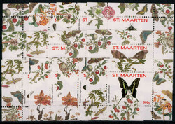 841520: 動物・虫類・蝶