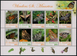 841520: 動物・虫類・蝶