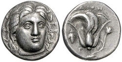Lot Image